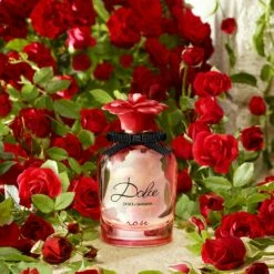 Dolce & Gabbana Dolce Rose -Sconto Regalo Di Profumo in Italia cont dolcegabbana 342322201622734232220162272p