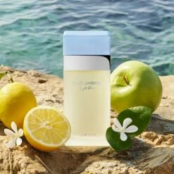 Dolce & Gabbana Light Blue EDT 50ml + Body Cream 50ml + Shower Gel 50ml -Sconto Regalo Di Profumo in Italia cont dolcegabbana 342322206590434232220659043p