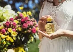 Dolce & Gabbana Dolce Shine -Sconto Regalo Di Profumo in Italia cont dolcegabbana dolce shine34234730039533p