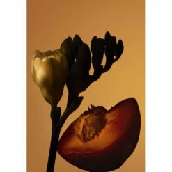 Hugo Boss BOSS THE SCENT PRIVATE ACCORD FOR HER -Sconto Regalo Di Profumo in Italia cont hugo boss 36142273917897p