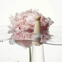 Issey Miyake L'Eau D'Issey Eau&Pivoine 9 Issey Miyake L'Eau D'Issey Eau&Pivoine -Sconto Regalo Di Profumo in Italia cont issey miyake im pivoine34232220905934p