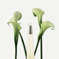 Issey Miyake L'Eau D'Issey -Sconto Regalo Di Profumo in Italia cont issey miyake issey d34234703001542p