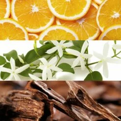 LACOSTE Touch Of Pink -Sconto Regalo Di Profumo in Italia cont lacoste touch of pink07370521913484p