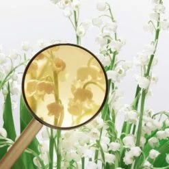 Miu Miu L'Eau Bleue 9 Miu Miu L'Eau Bleue -Sconto Regalo Di Profumo in Italia cont miu miu miu miu eau bleue36142225326375p