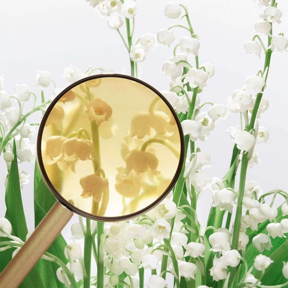 Miu Miu L'Eau Bleue 5 Miu Miu L'Eau Bleue - immagine 5