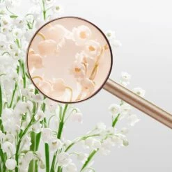 Miu Miu L'Eau Rosée -Sconto Regalo Di Profumo in Italia cont miu miu miu miu eau rosee36142234872955p