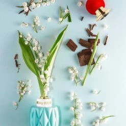 Miu Miu -Sconto Regalo Di Profumo in Italia cont miu miu miu miu36142203222544p