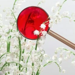 Miu Miu -Sconto Regalo Di Profumo in Italia cont miu miu miu miu36142203222545p