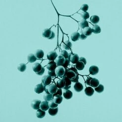 Tiffany & Co. Intense -Sconto Regalo Di Profumo in Italia cont tiffany tiffanyco edp36142269403779p